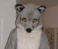 Snofoxx