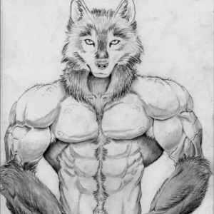 anthro wolf