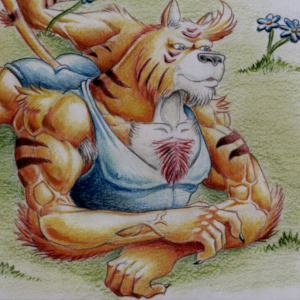 tiger in meadow
